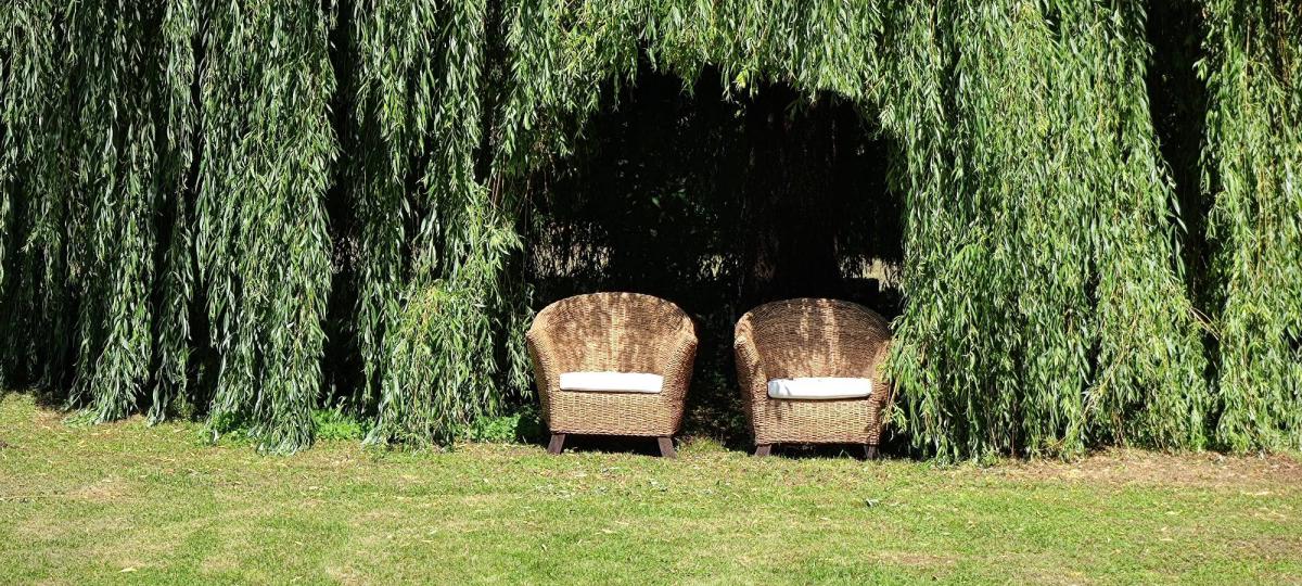 Arche saule pleureur cabinet vert ceremonie laique religieuse - mariage au chateau de jaulny - Crédit photo : lesbaladesdudimanche@proximus.be